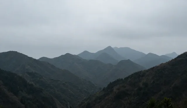商务会议中研学旅行策划的包车安排建议
